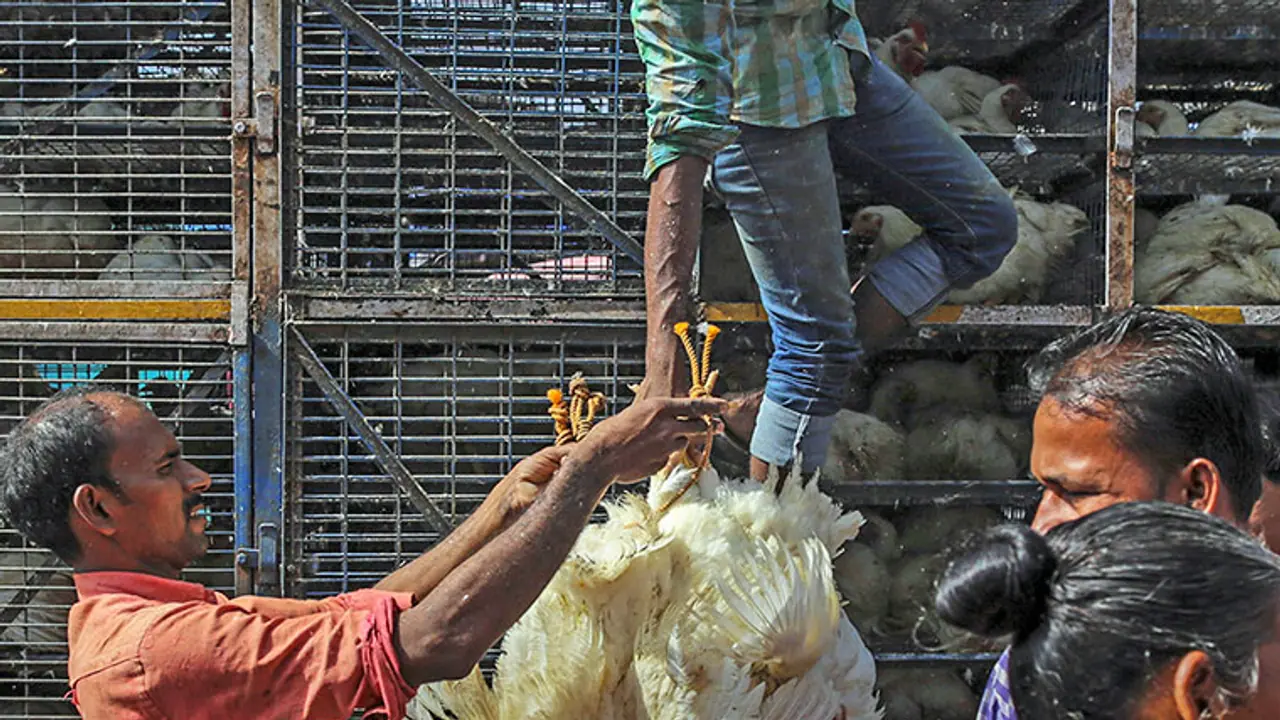 To sell chicken for high price, poultry traders cross TN border To sell chicken for high price, poultry traders cross TN border