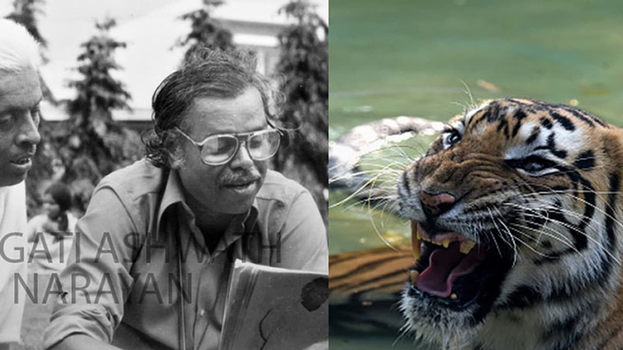 When tigers, lions 'snored' on Puttanna Kanagal’s movie set When tigers, lions 'snored' on Puttanna Kanagal’s movie set