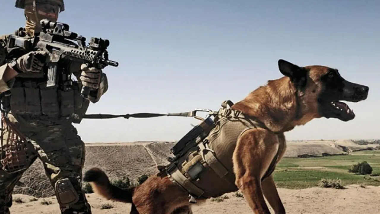 Dog takes on IS attackers, saves British SAS soldiers