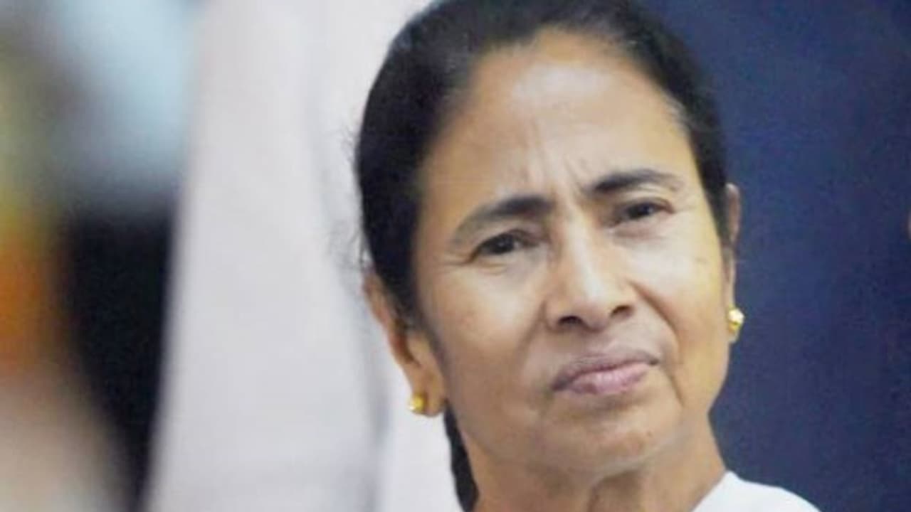 டெங்கு கொசு உற்பத்திக்கு மத்திய அரசே பொறுப்பாம்... சொல்கிறார் மம்தா! டெங்கு கொசு உற்பத்திக்கு மத்திய அரசே பொறுப்பாம்... சொல்கிறார் மம்தா!