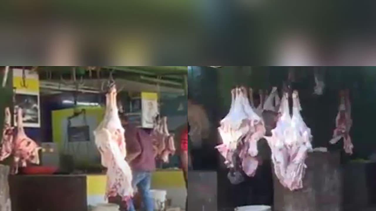 Curreny ban: Chicken prices crash, meat sellers shut shop