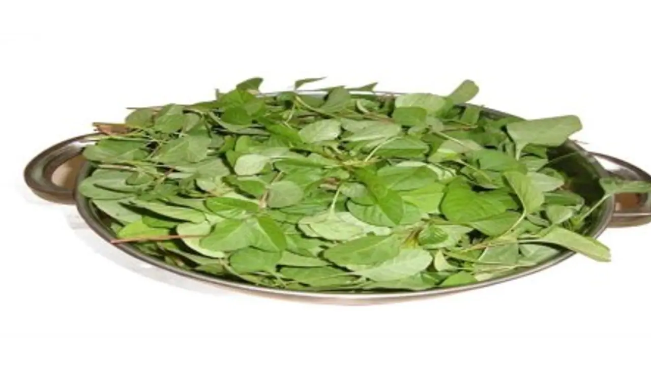 அரைக்கீரையின் அற்புத குணங்கள் இதோ… அரைக்கீரையின் அற்புத குணங்கள் இதோ…