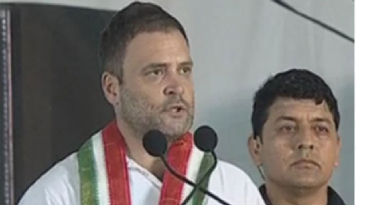 ನಾವು ಮೋದಿಯವರನ್ನು ಟೀಕಿಸುತ್ತೇವೆಯೇ ಹೊರತು ಅಗೌರವಿಸುವುದಿಲ್ಲ: ರಾಹುಲ್ ಗಾಂಧಿ ನಾವು ಮೋದಿಯವರನ್ನು ಟೀಕಿಸುತ್ತೇವೆಯೇ ಹೊರತು ಅಗೌರವಿಸುವುದಿಲ್ಲ: ರಾಹುಲ್ ಗಾಂಧಿ