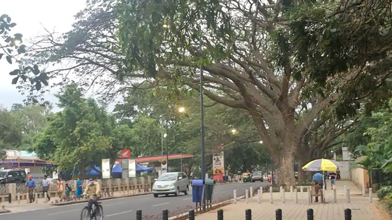 St Marks Road in Bengaluru, Tender SURE hailed for successful design by global group St Marks Road in Bengaluru, Tender SURE hailed for successful design by global group