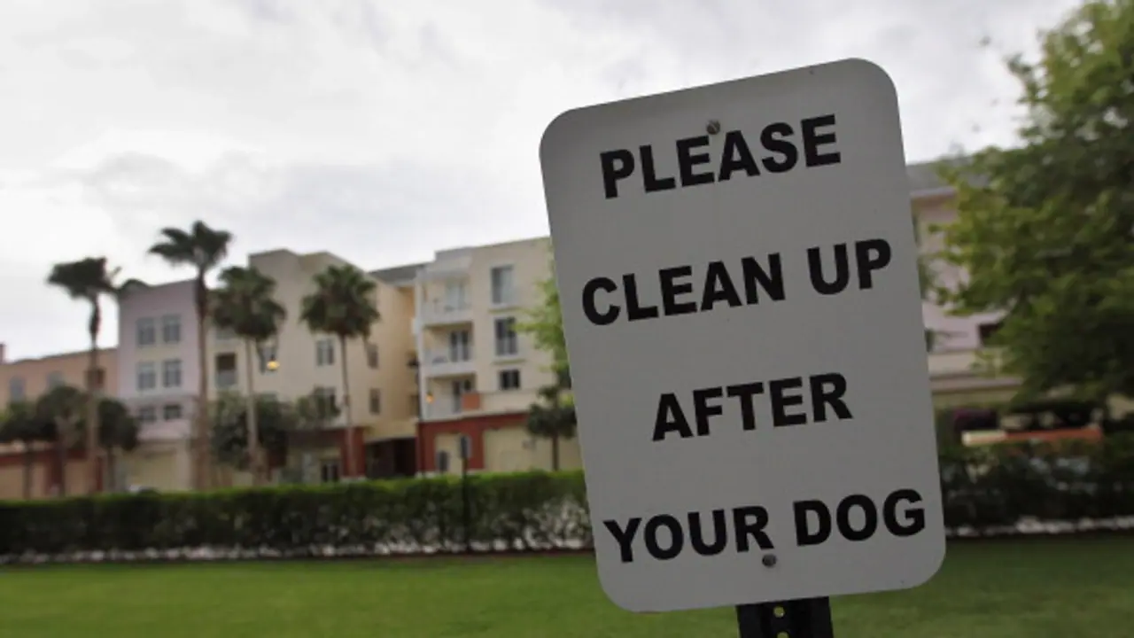 'Scoop your dog's poop': Bengaluru implements citywide clean up rules to pet owners 'Scoop your dog's poop': Bengaluru implements citywide clean up rules to pet owners