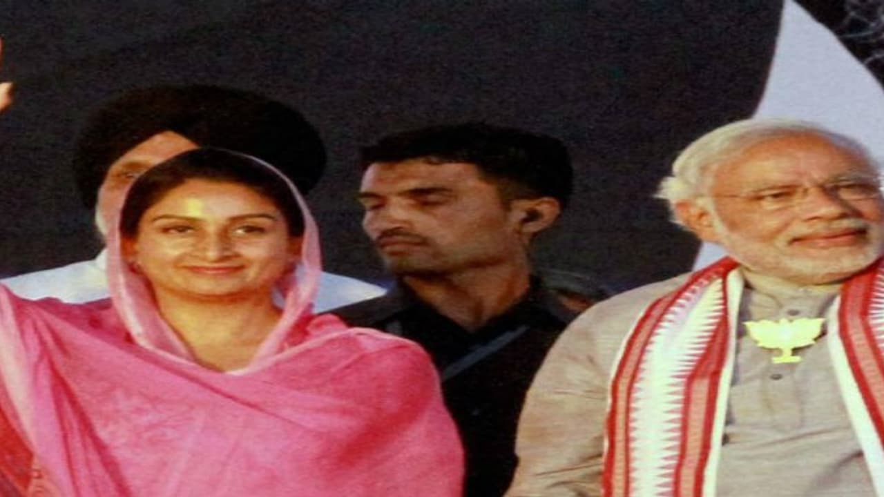 தமிழகத்தில் பெப்சி, கோக் புறக்கணிப்பு ஜனநாயக விரோதம் மத்திய அமைச்சரின் பேச்சால் ‘சர்ச்சை’ தமிழகத்தில் பெப்சி, கோக் புறக்கணிப்பு ஜனநாயக விரோதம் மத்திய அமைச்சரின் பேச்சால் ‘சர்ச்சை’