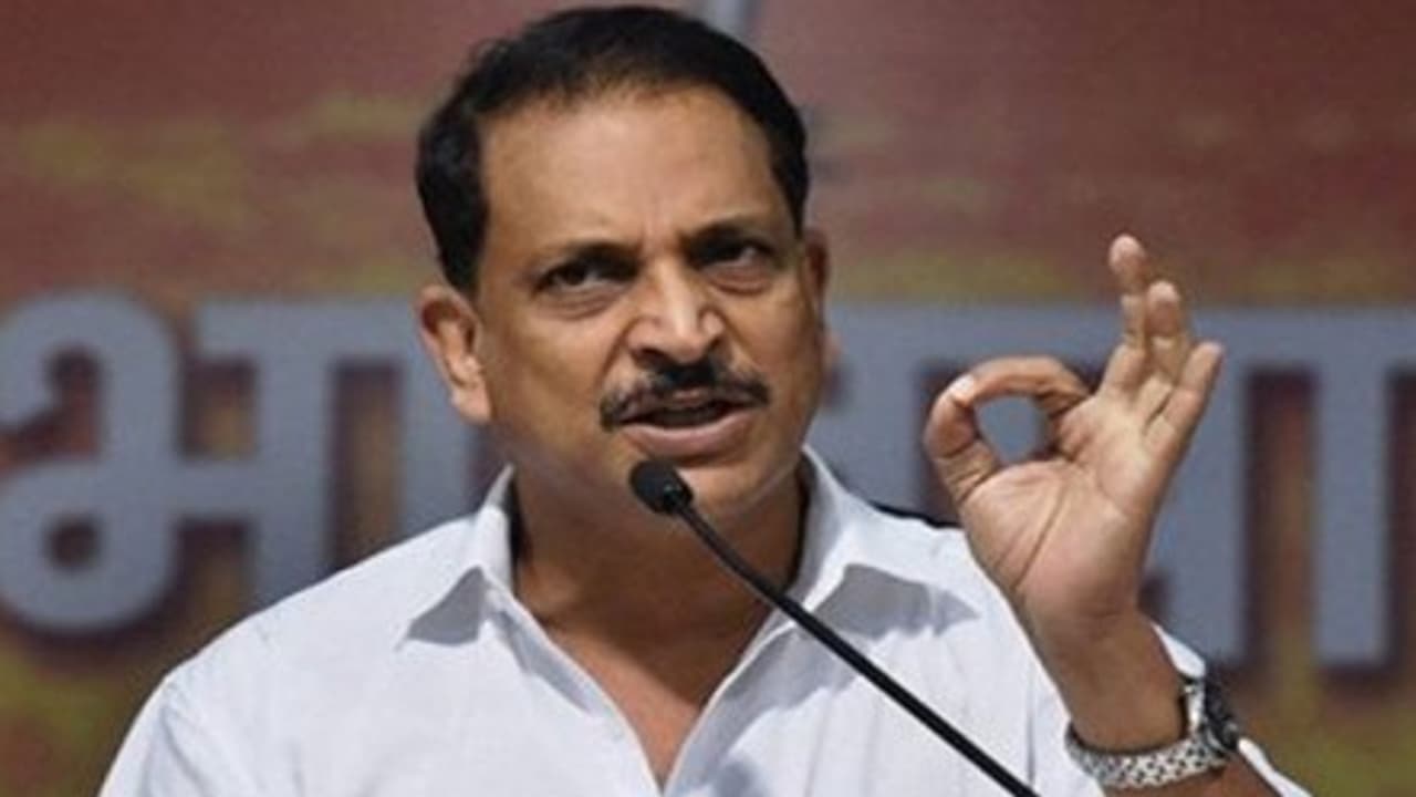 521372 rudy 20038.jpg