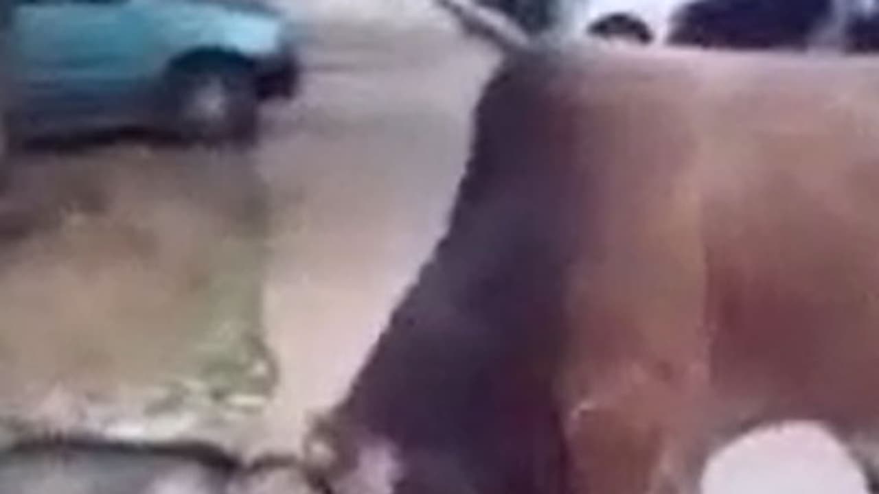 సవాలంటే...సవాల్ (వీడియో) సవాలంటే...సవాల్ (వీడియో)