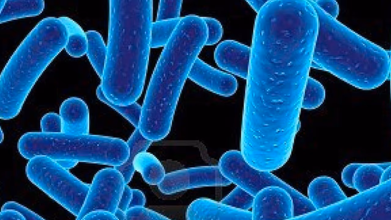 ക്യാന്സറിന് ആശ്വാസമായി ഇനി നാനോ തറാപ്പി ക്യാന്സറിന് ആശ്വാസമായി ഇനി നാനോ തറാപ്പി