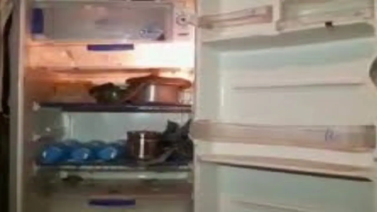 வெயில் கொடுமை தாங்காமல் பிரிட்ஜில் படுத்த 4 அடி பாம்பு…வீட்டு உரிமையாளர் அலறி அடித்து ஓட்டம் வெயில் கொடுமை தாங்காமல் பிரிட்ஜில் படுத்த 4 அடி பாம்பு…வீட்டு உரிமையாளர் அலறி அடித்து ஓட்டம்