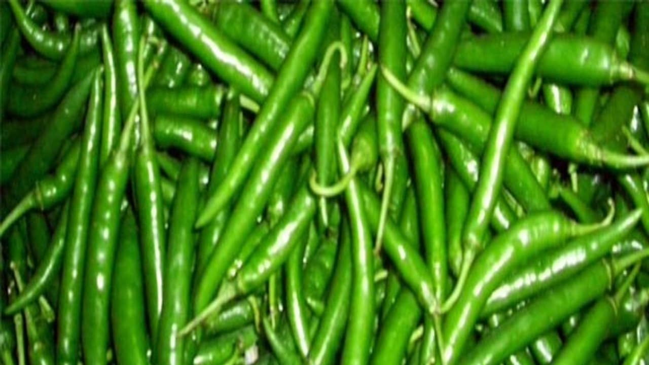 நீங்கள் சற்றும் எதிர்பாராத அளவுக்கு மருத்துவ பயன்கள் மிளகாயில் இருக்கு... நீங்கள் சற்றும் எதிர்பாராத அளவுக்கு மருத்துவ பயன்கள் மிளகாயில் இருக்கு...