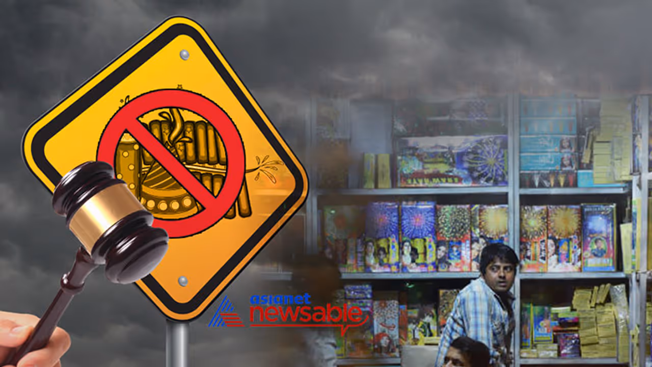 Rains, SC ban leave firework manufacturers high and dry Rains, SC ban leave firework manufacturers high and dry