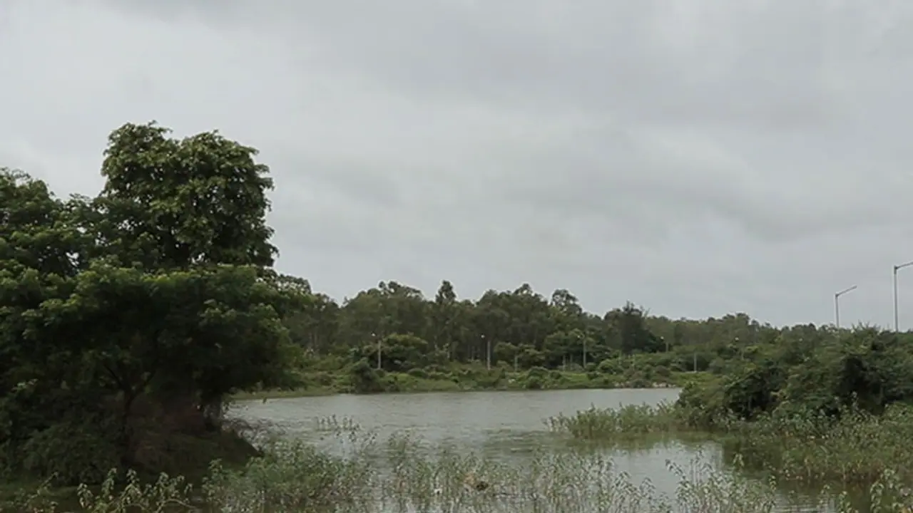 Thanks to Bengaluru authorities, land sharks are 'legally' selling dying lakes Thanks to Bengaluru authorities, land sharks are 'legally' selling dying lakes