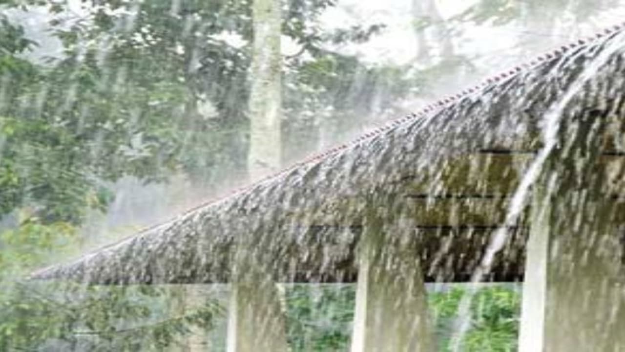 வீடுகளை மழைக்காலங்களில் பரமரிப்பதற்கான முக்கிய டிப்ஸ்… வீடுகளை மழைக்காலங்களில் பரமரிப்பதற்கான முக்கிய டிப்ஸ்…