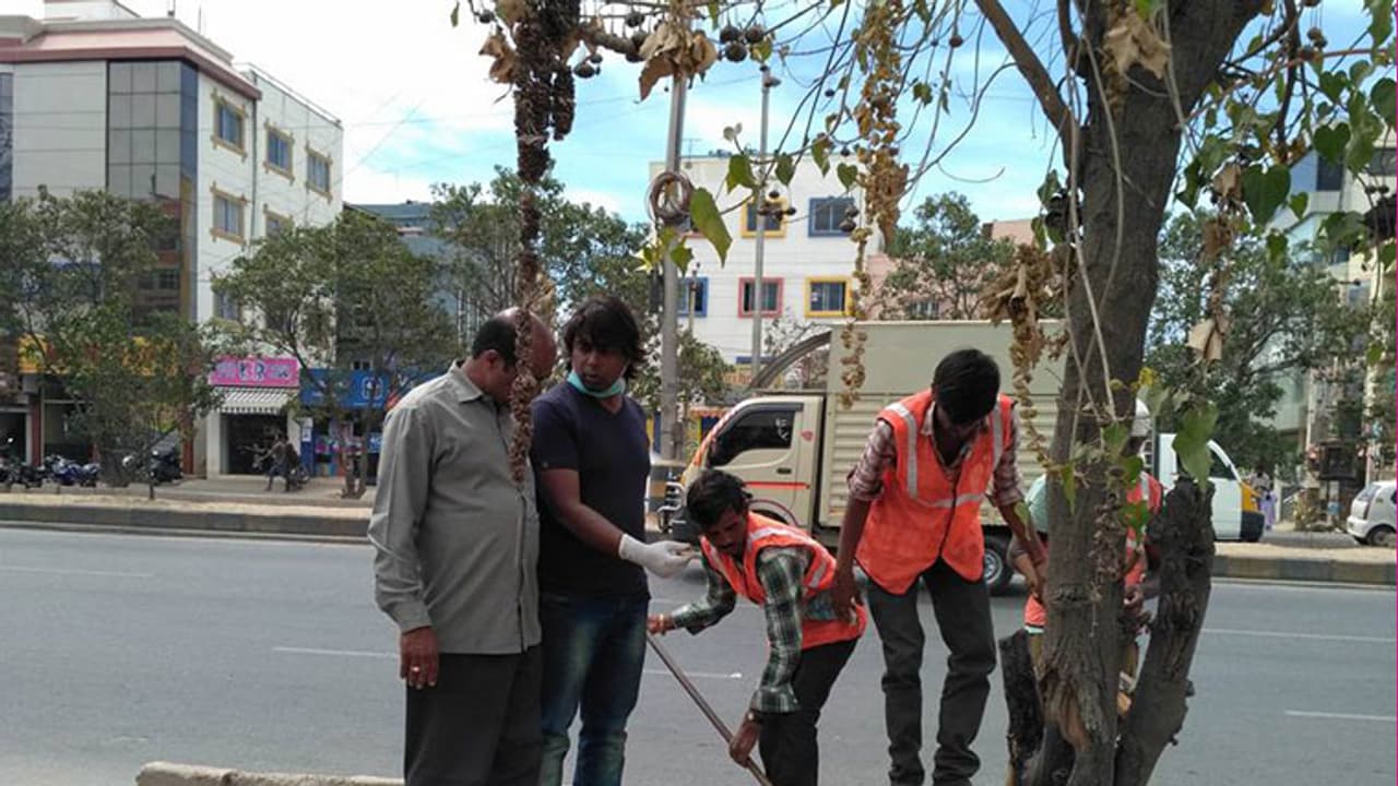 ಜಾಹಿರಾತು ಕಾಣೊಲ್ಲ ಅಂತ ಮರಗಳಿಗೆ ಆ್ಯಸಿಡ್ ಹಾಕಿದ ಕೀಚಕರು ಜಾಹಿರಾತು ಕಾಣೊಲ್ಲ ಅಂತ ಮರಗಳಿಗೆ ಆ್ಯಸಿಡ್ ಹಾಕಿದ ಕೀಚಕರು