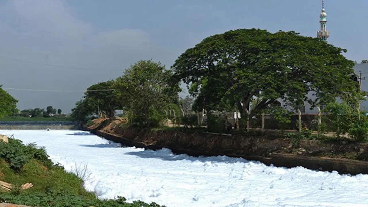 Bellandur industries appeal to NGT to cancel close down notice Bellandur industries appeal to NGT to cancel close down notice