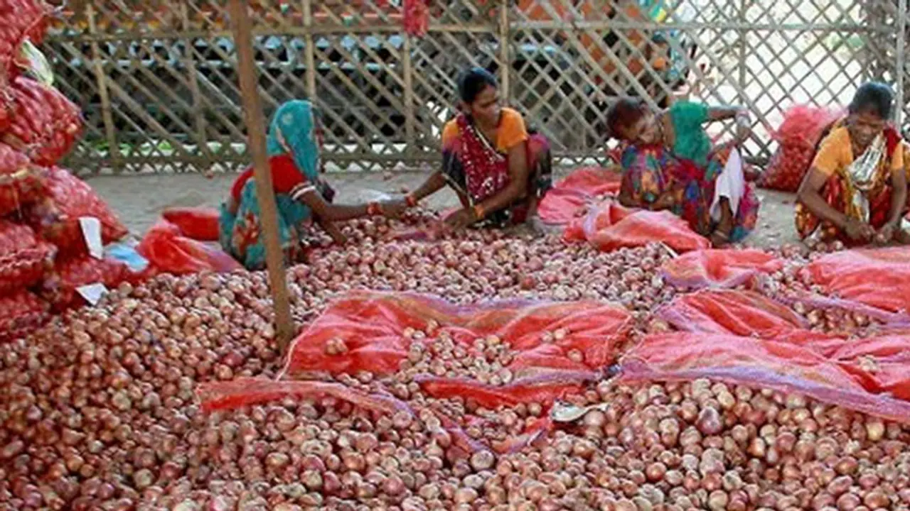 ಈರುಳ್ಳಿಗೆ ರೂ.100 ಅನುದಾನ