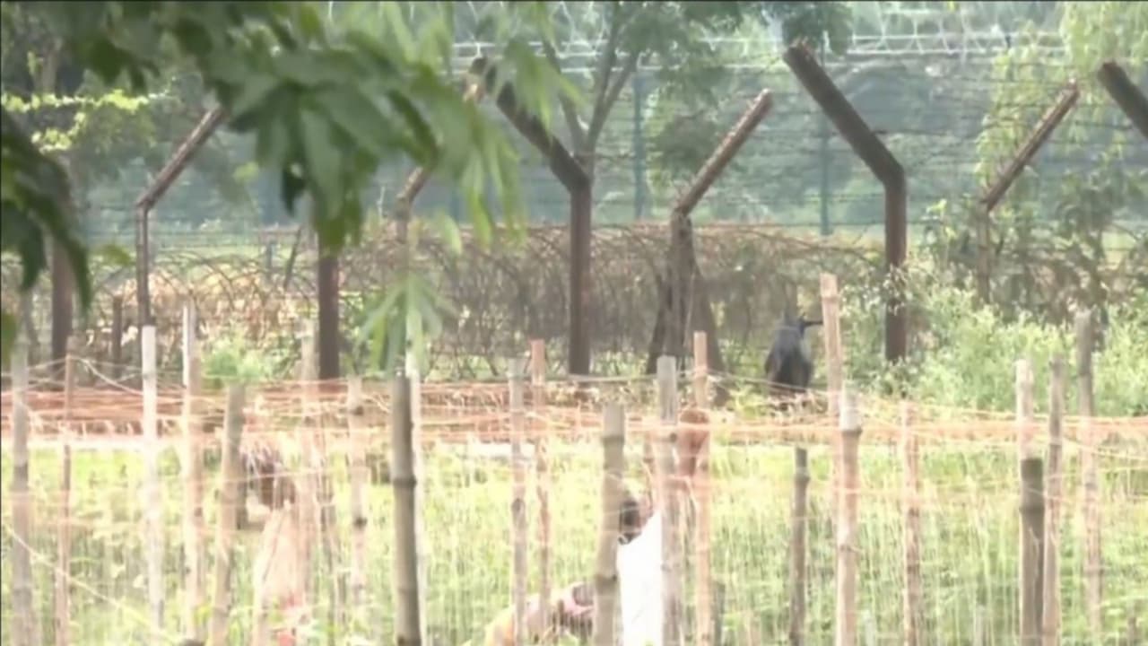 Visual from the border town of Phansidewa, where fencing has started after the West Bengal government handed over 27 km of land to Border Security Force (BSF) for fencing the India Bangladesh border (Photo/ANI) Visual from the border town of Phansidewa, where fencing has started after the West Bengal government handed over 27 km of land to Border Security Force (BSF) for fencing the India Bangladesh border (Photo/ANI)