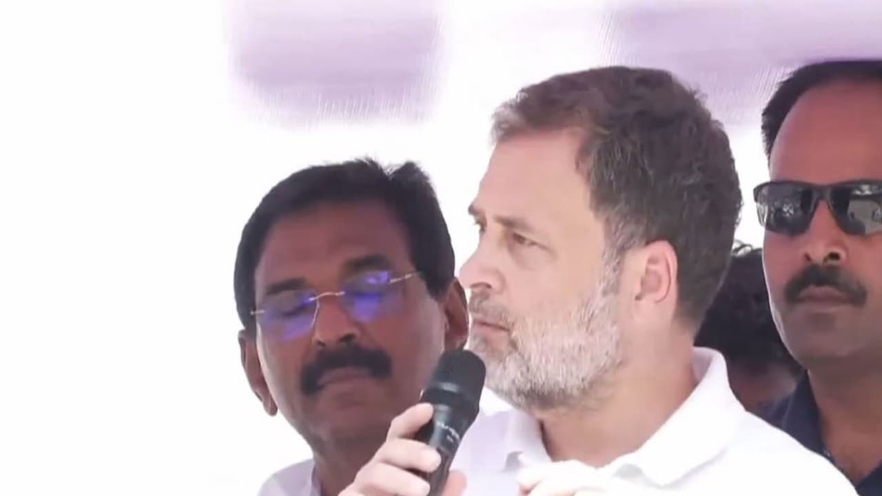 LoP in Lok Sabha and Congres leader Rahul Gandhi (Photo/Rahul Gandhi's social media) LoP in Lok Sabha and Congres leader Rahul Gandhi (Photo/Rahul Gandhi's social media)