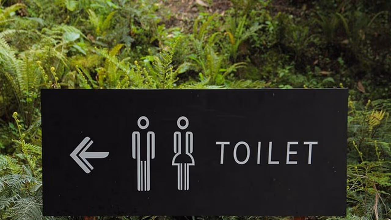 Representative image (File Photo/ANI) Representative image (File Photo/ANI)