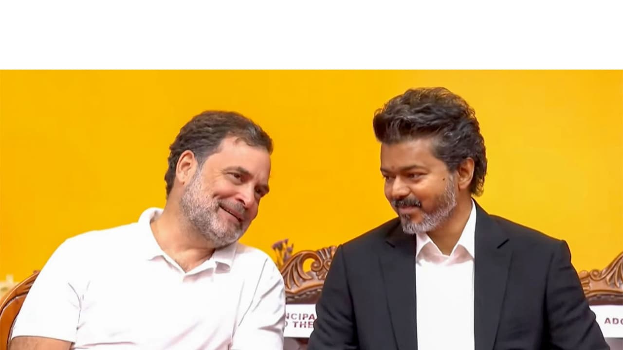 Congress MP Rahul Gandhi (L) and Tamil Nadu CM Vijay (R) (File Photo/ANI) Congress MP Rahul Gandhi (L) and Tamil Nadu CM Vijay (R) (File Photo/ANI)