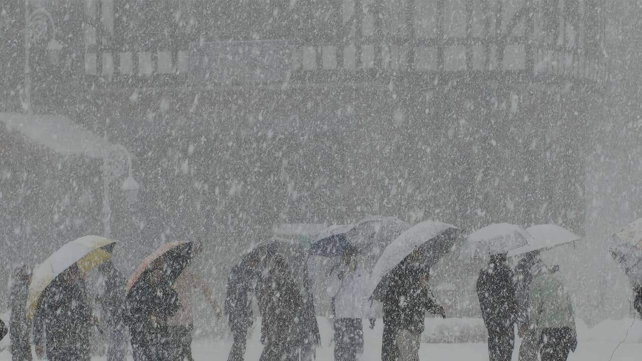 Fresh snowfall in Shimla (Photo/ANI) Fresh snowfall in Shimla (Photo/ANI)