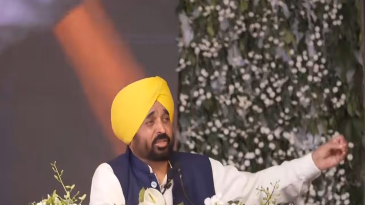 Punjab Chief Minister Bhagwant Mann (Photo/ANI) Punjab Chief Minister Bhagwant Mann (Photo/ANI)