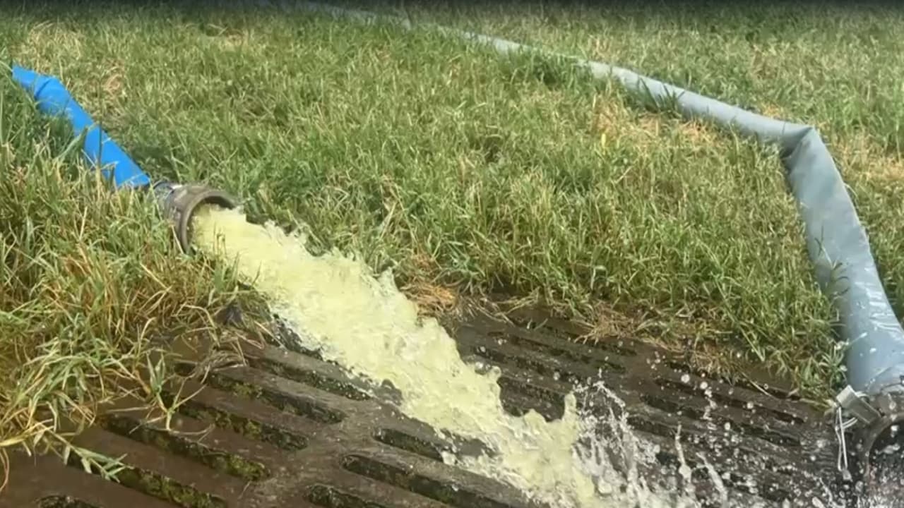 Green algea being pumped out of Lincoln Memorial Reflecting Pool (Photo/ANI) Green algea being pumped out of Lincoln Memorial Reflecting Pool (Photo/ANI)