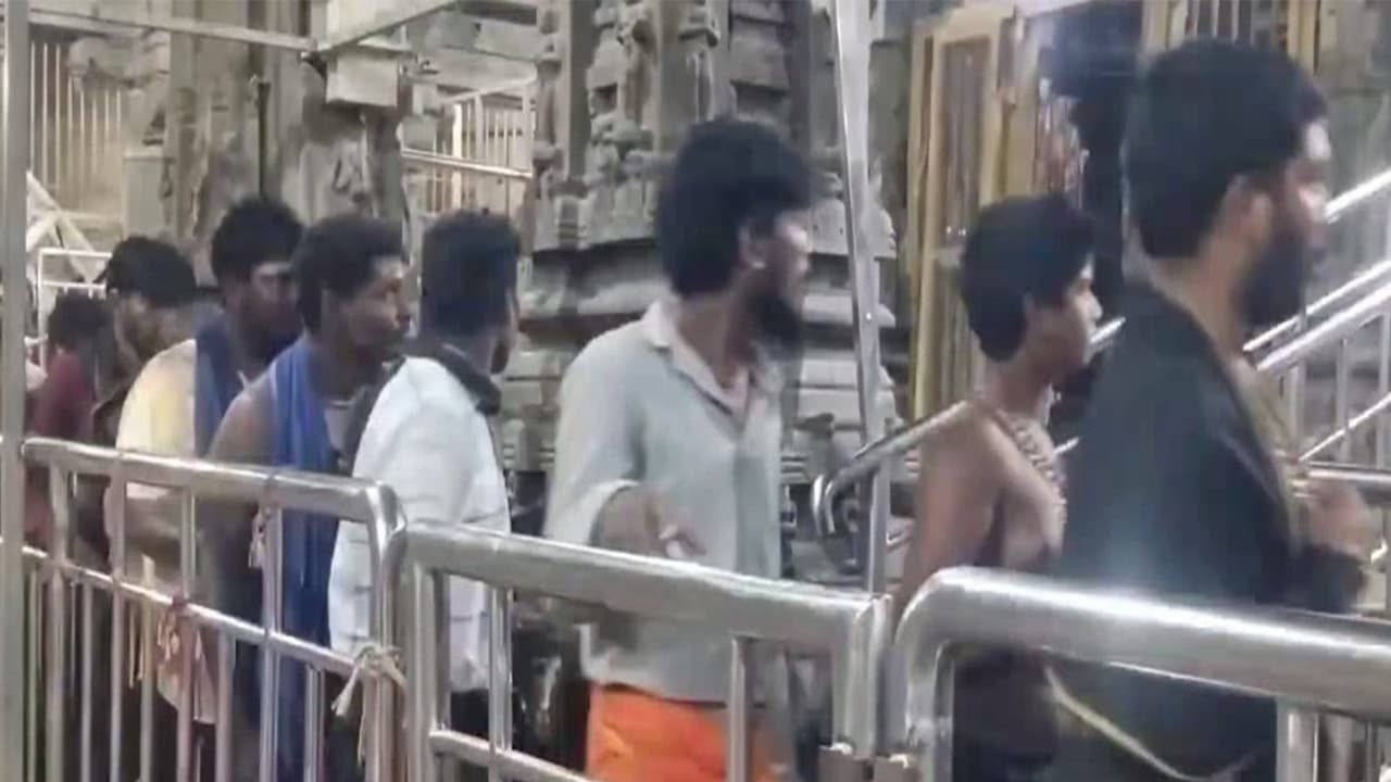 Devotees during the Tamil month of Margazhi (Photo/ANI) Devotees during the Tamil month of Margazhi (Photo/ANI)