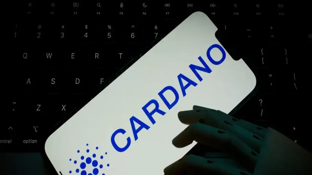https://stocktwits.com/news articles/markets/cryptocurrency/ada july q3 h2 2025 stats/chmZmmGRR77