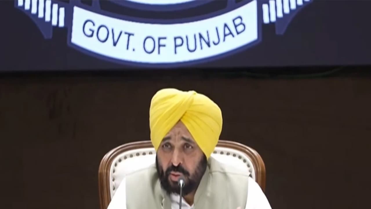 Punjab CM Bhagwant Mann (File Photo/ANI)