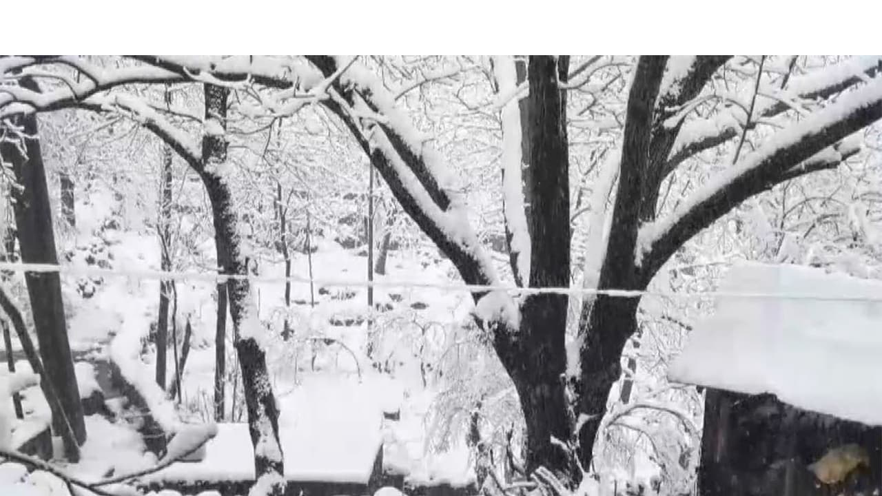 Visuals form Banihal (Photo/ANI) Visuals form Banihal (Photo/ANI)