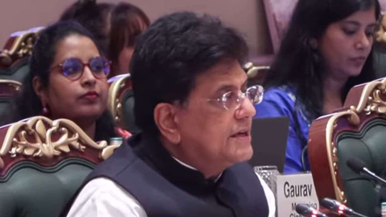 Commerce Minister Piyush Goyal (Photo/Piyush Goyal YoutTube) Commerce Minister Piyush Goyal (Photo/Piyush Goyal YoutTube)