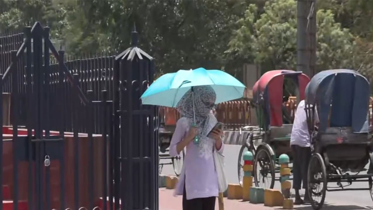 Visuals from Lucknow (Photo/ANI) Visuals from Lucknow (Photo/ANI)