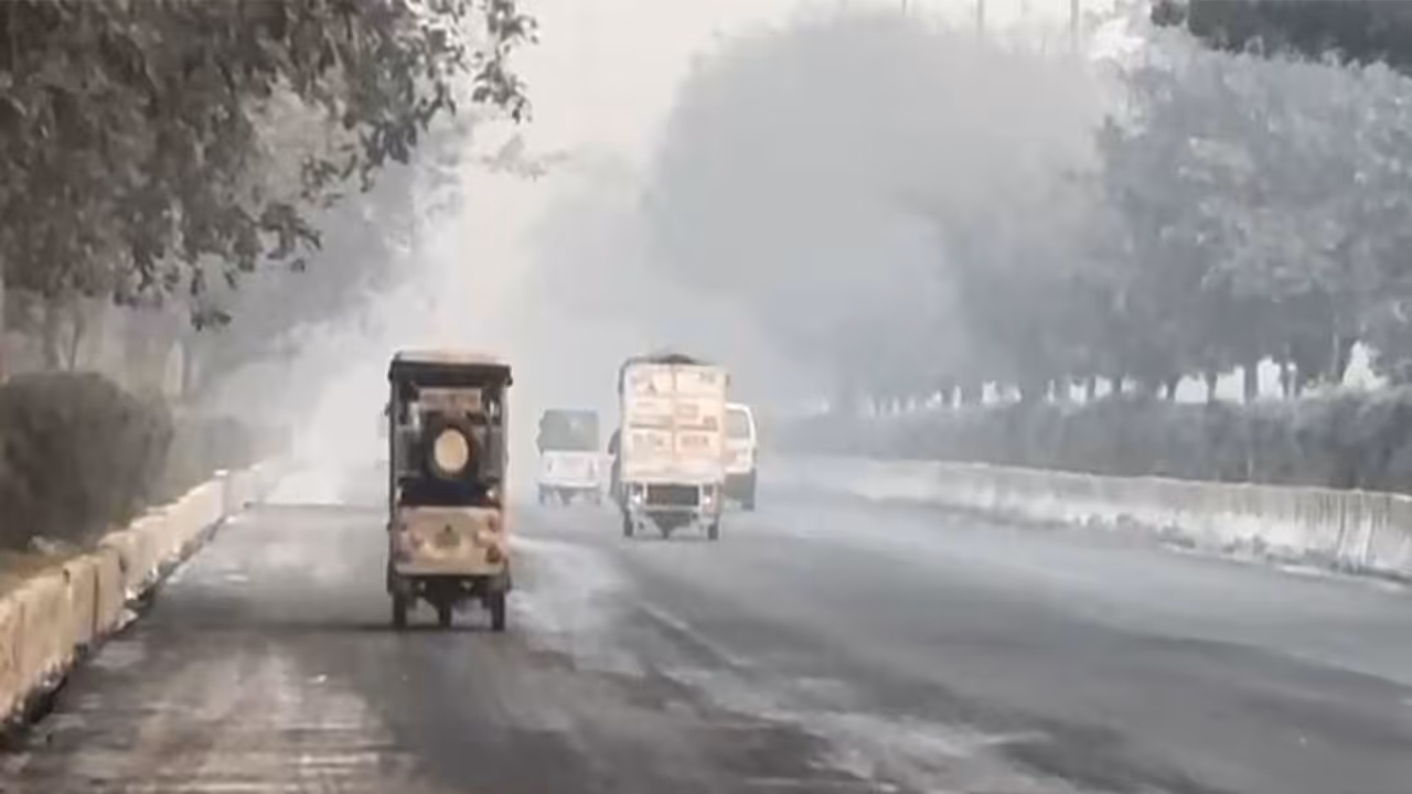 Visuals of Noida sector 115 (Photo/ANI) Visuals of Noida sector 115 (Photo/ANI)