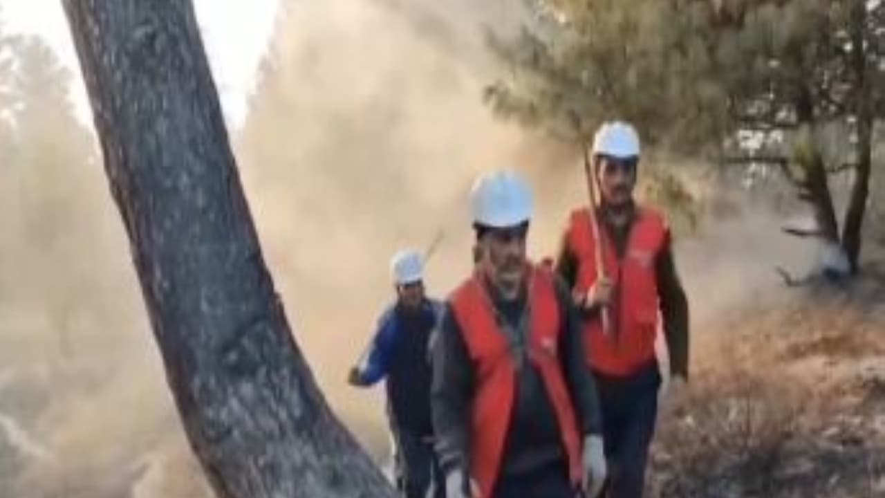 Visuals from Bandipore forest fire site (Photo/ANI) Visuals from Bandipore forest fire site (Photo/ANI)