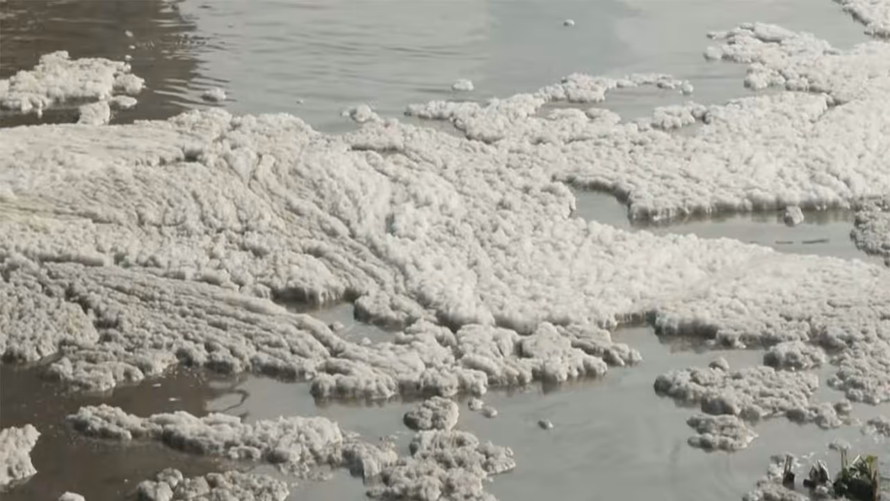 Toxic foam floating on the surface of the Yamuna River at Kalindi Kunj (Photo/ANI) Toxic foam floating on the surface of the Yamuna River at Kalindi Kunj (Photo/ANI)