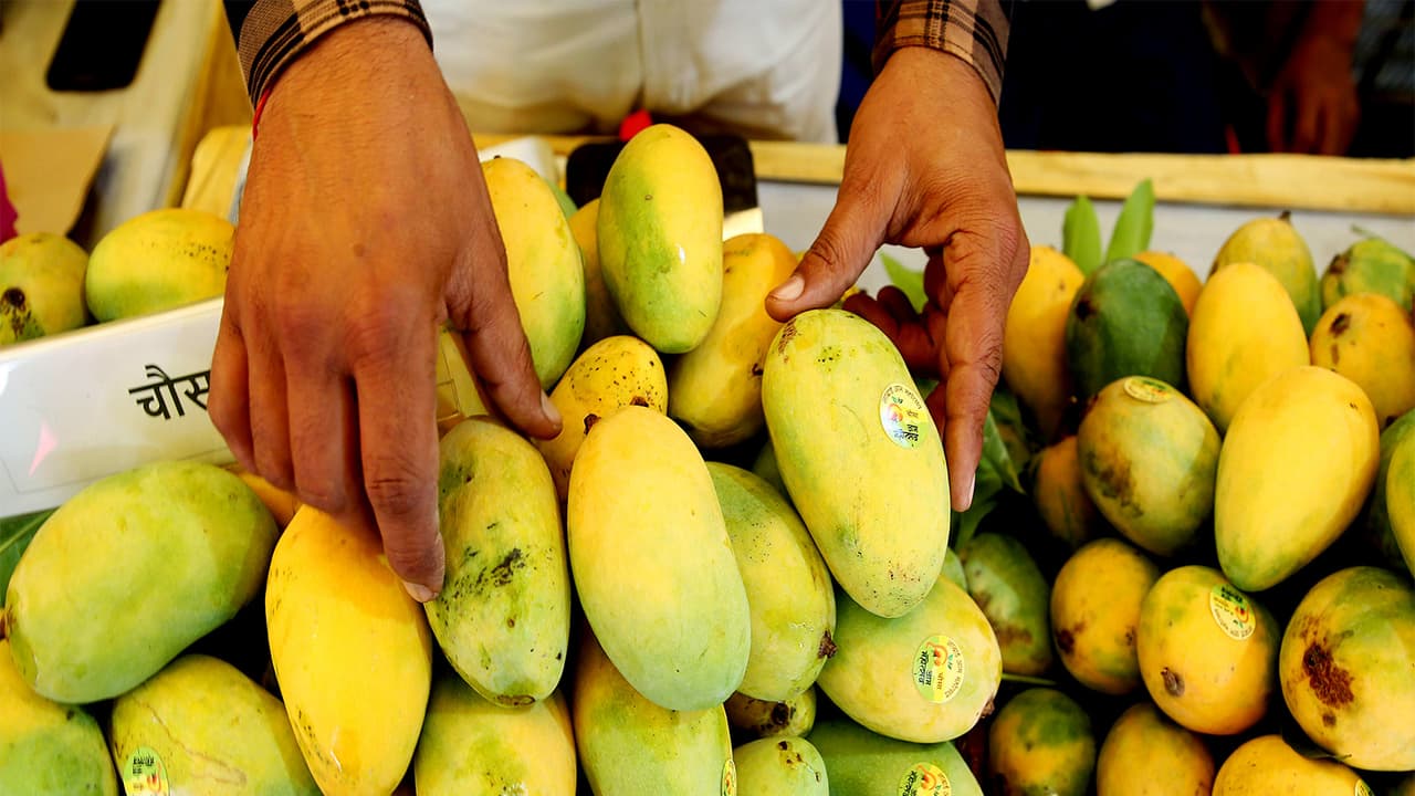 Representational Image (Photo/ANI) Representational Image (Photo/ANI)