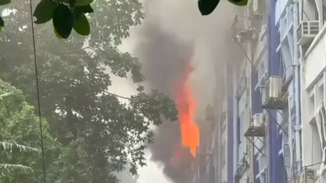 A fire broke out at the South 24 Parganas Zilla Parishad office near Alipore Court (Photo/ANI) A fire broke out at the South 24 Parganas Zilla Parishad office near Alipore Court (Photo/ANI)