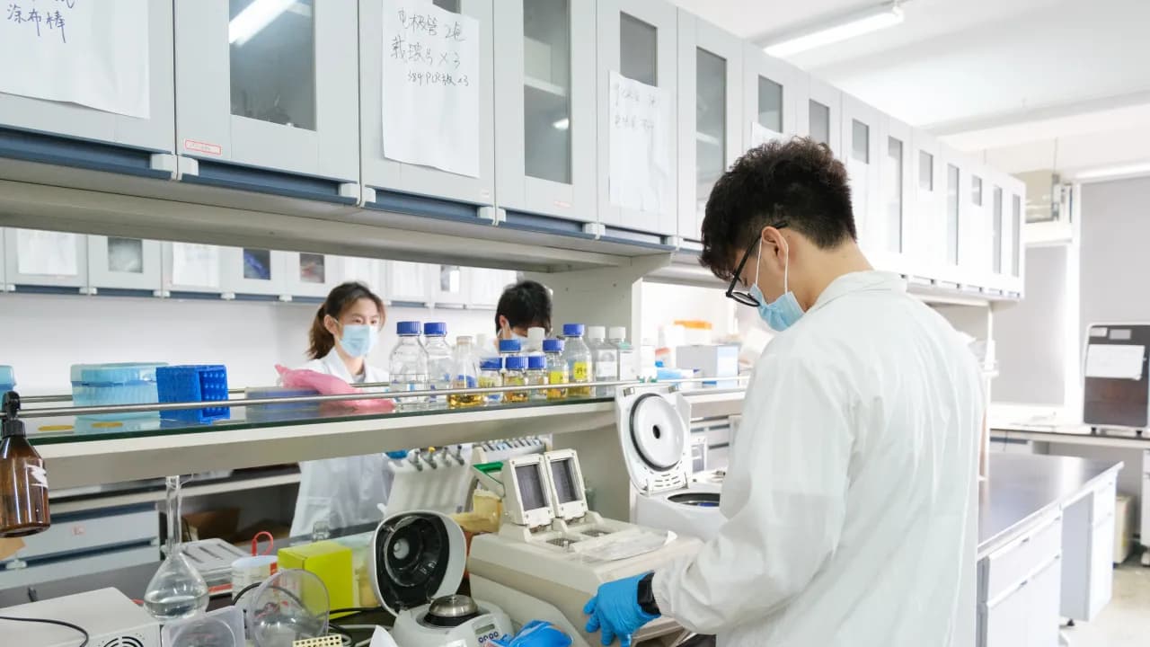 https://stocktwits.com/news articles/markets/equity/big pharma eyes china j and j and roche reportedly in talks for henlius experimental cancer drug/chwy5dfRdy5 https://stocktwits.com/news articles/markets/equity/big pharma eyes china j and j and roche reportedly in talks for henlius experimental cancer drug/chwy5dfRdy5