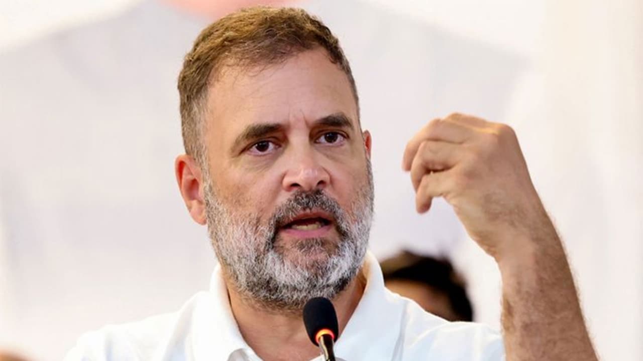 Congress MP Rahul Gandhi (File Photo/ANI) Congress MP Rahul Gandhi (File Photo/ANI)