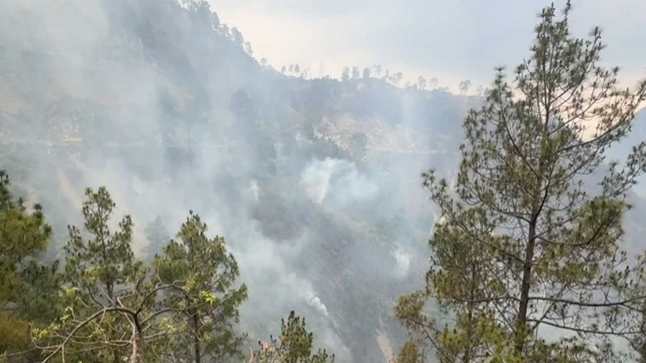 Flames engulf parts of the Salal forest area in Reasi (Photo/ANI) Flames engulf parts of the Salal forest area in Reasi (Photo/ANI)