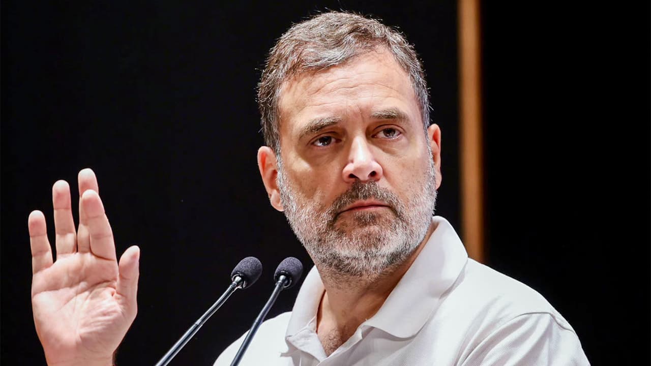Lok Sabha LoP Rahul Gandhi (Photo/ANI) Lok Sabha LoP Rahul Gandhi (Photo/ANI)