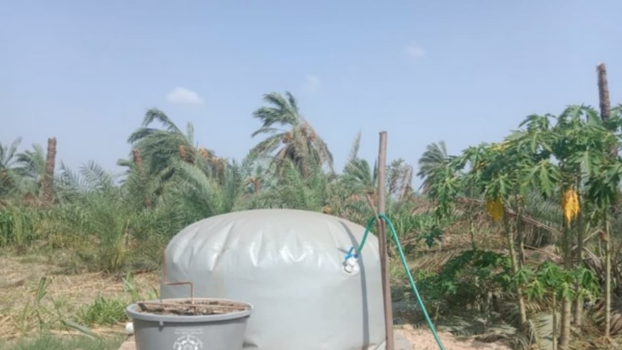 Biogas plant installed under Gobar Dhan Yojana scheme (Photo/ANI) Biogas plant installed under Gobar Dhan Yojana scheme (Photo/ANI)