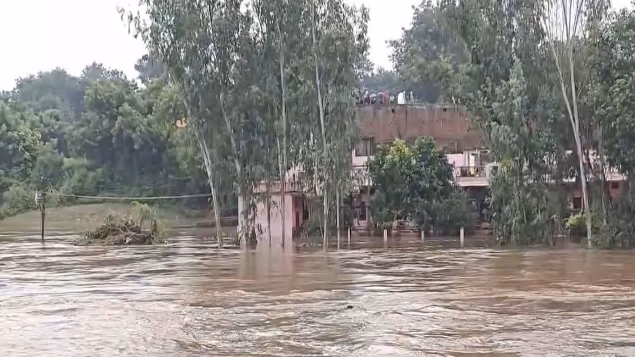 Mandakini River in Satna (Photo/ANI) Mandakini River in Satna (Photo/ANI)