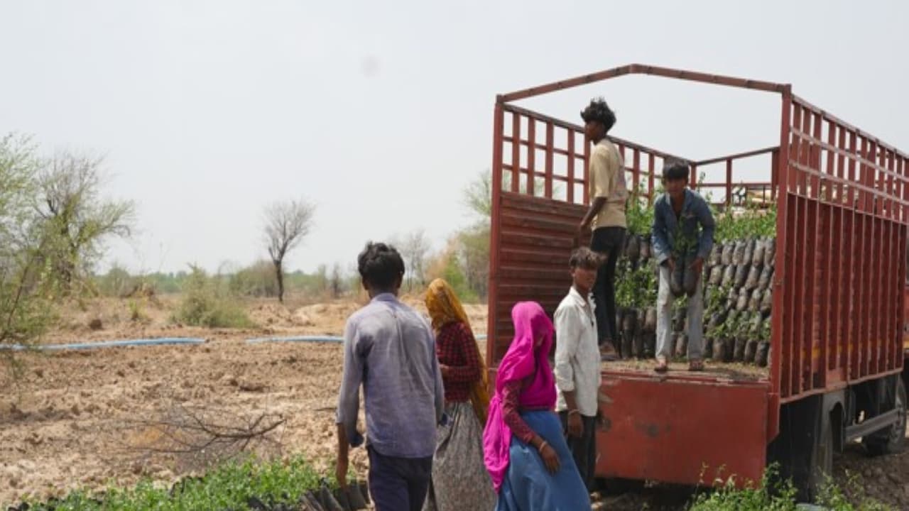 Gujarat's Van Kavach model launched at Godhavi Village (Photo/GujaratCMO) Gujarat's Van Kavach model launched at Godhavi Village (Photo/GujaratCMO)
