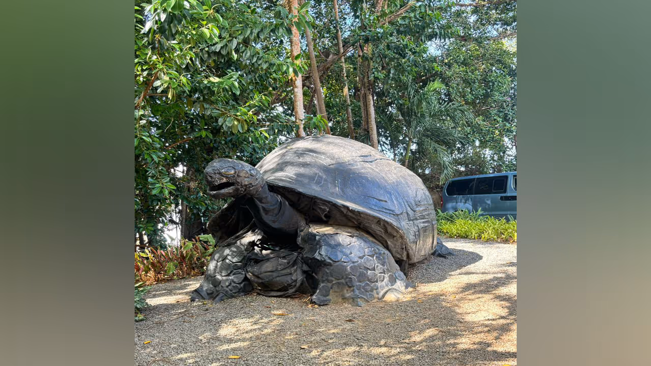 Aldabra giant tortoise (Photo/ANI)