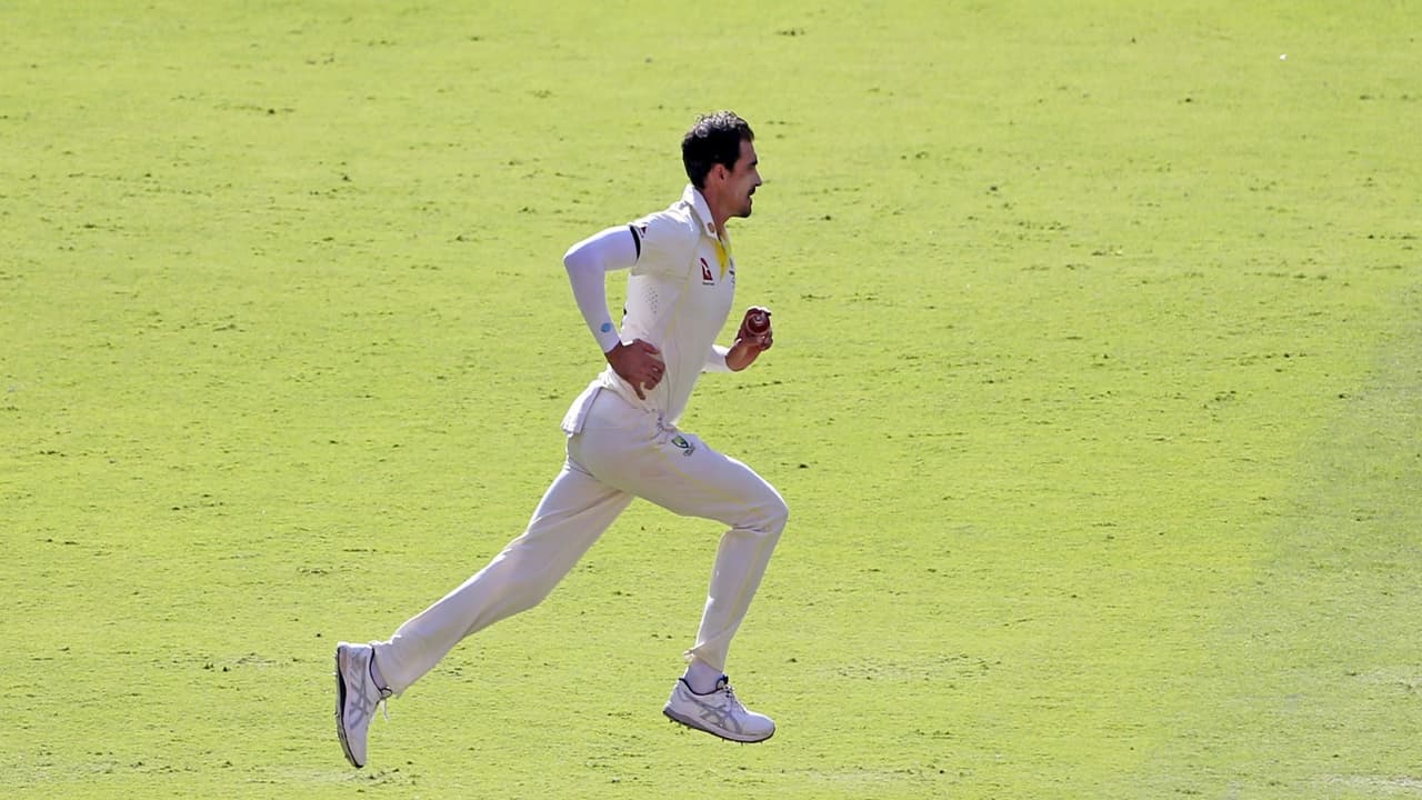 Mitchell Starc (Photo: ANI) Mitchell Starc (Photo: ANI)