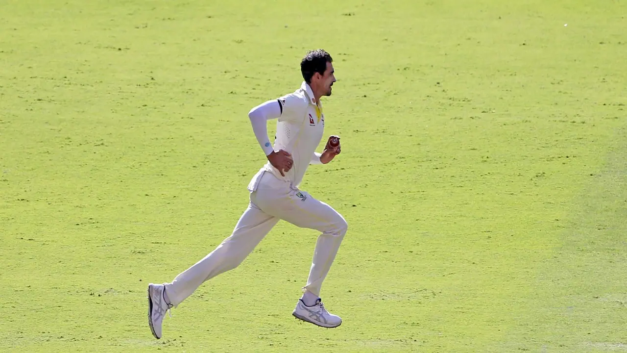 Mitchell Starc. (Photo: ANI) Mitchell Starc. (Photo: ANI)