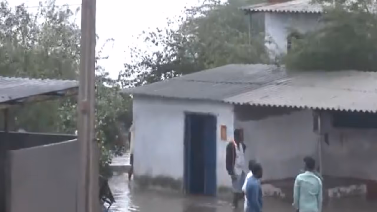 Strong winds uproot trees across Korangi area in Andhra Pradesh's Kakinada (Photo/ANI) Strong winds uproot trees across Korangi area in Andhra Pradesh's Kakinada (Photo/ANI)